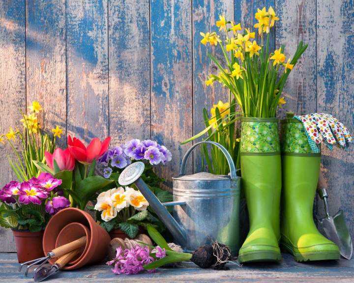 Découvrez un large choix d’équipements de jardinage dans notre magasin !