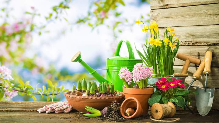 Commercialisation d'accessoires de jardinage Anglet