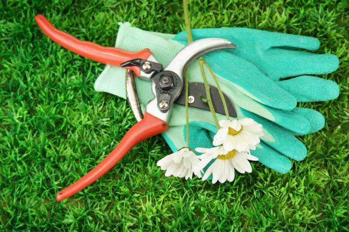 Vendeur d'accessoires de jardinage Anglet