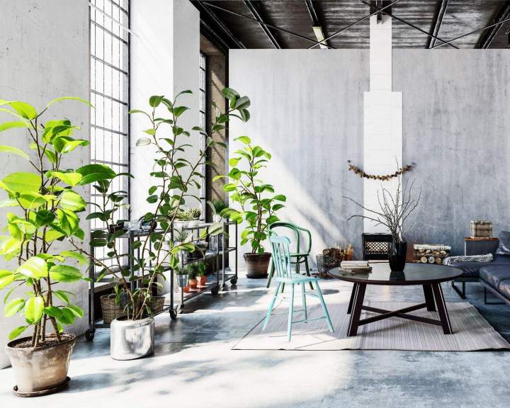 Aménagement végétal d'intérieur Anglet