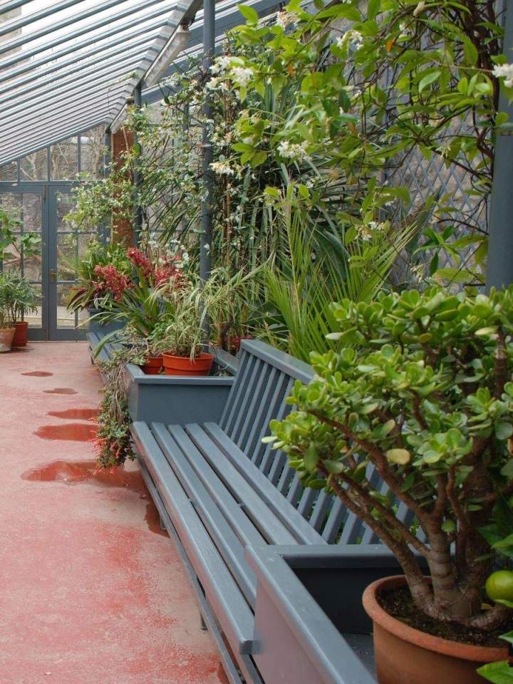 Magasin de plantes rares Anglet