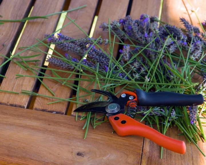 Accessoires de jardinage Anglet