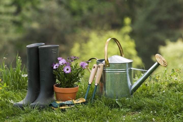 Fournisseur d’accessoires de jardinage Anglet